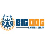 Big Dog Chains Collar