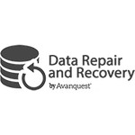 Data Repair and Recovery