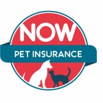 NOW Pet Insurance