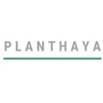 Planthaya
