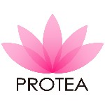 Protea Hair