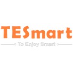 TESmart