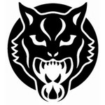 Wildcat