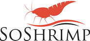 Save 15% Now on Delicious Shrimp Dishes at Soshrimp - Get Extra Discount with Coupon!