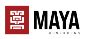 Maya Mushrooms