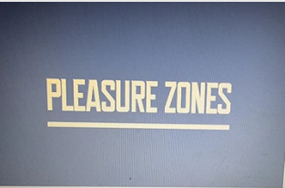 Pleasure Zones   