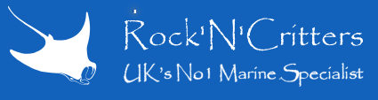 Rock  N Critters