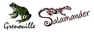 Salamander Shirts