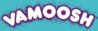 Vamoosh Cleans