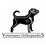 Veterinary Orthopaedics