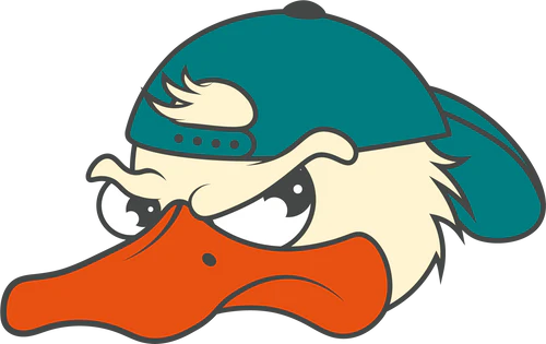 Mardy Ducks