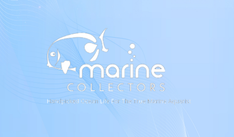 Marine Collectors