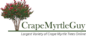 Crepe Myrtle Guy Coupons