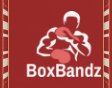 BoxBandz Coupons