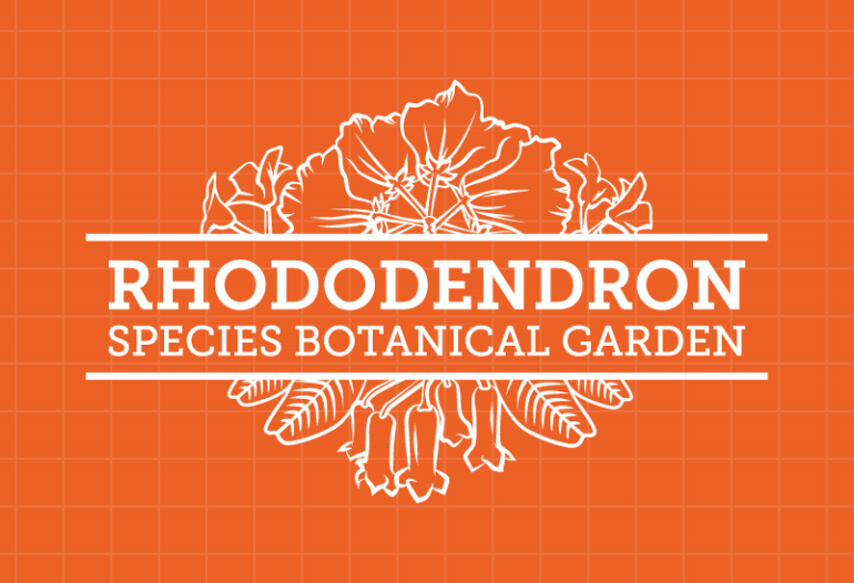 Rhodygarden