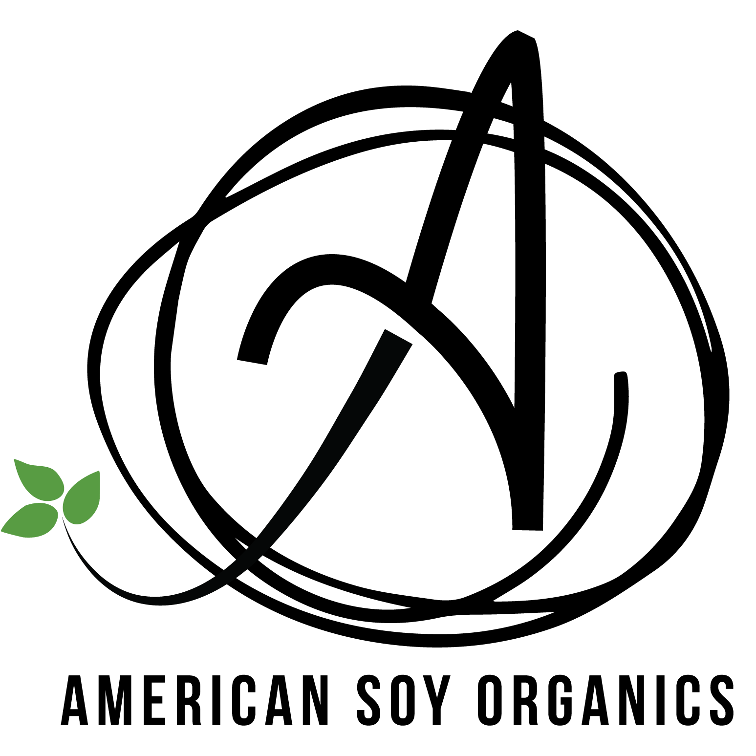 American Soy Organics