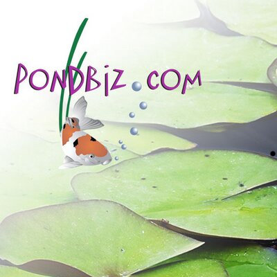 Pondbiz.com Deals, Discounts And Special Offers For {Year}