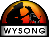 Wysong promo codes