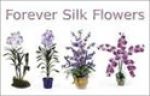 Forever Silk Flowers