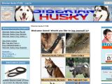 Siberian-husky-dog-breed-store