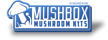 Mushbox