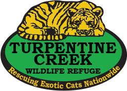 Turpentine Creek Wildlife Refu