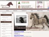 Elegant Horse Pictures