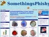 Somethingsphishy.com