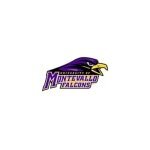 University of Montevallo