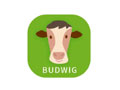 Budwig.com.tw Discount Code