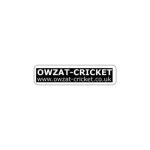 get 30% off at owzat cricket promo code coupon code