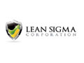 Lean Sigma Corporation Discount Code