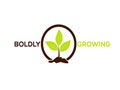 Boldly Growing