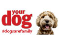 YourDog.co.uk Voucher Code