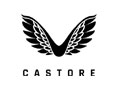 Castore