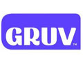 Gruv