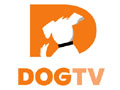 Dog TV