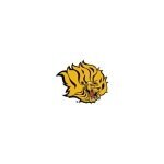 UAPB Golden Lions Athletics