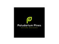 Terrarium Decor : Paludariumpines.ca Promo January {Year}