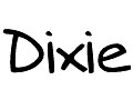 Dixie Fashion Discount Code