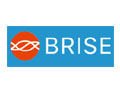 Shop.brise.com.tw