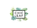 Chic Leaf 100% Compostable Disposable Palm Leaf Trays