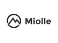 Miolle Tow Strap 3”X20’- 33400lbs Mbs