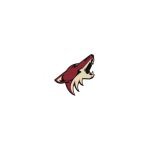 Arizona Coyotes