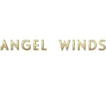 Save $30 ON Angel of the Winds Arena any order