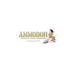 Ammodor Cigar Humidors