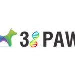 38 Paw