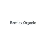 Bentley Organic