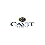 get 10% off at cavit collection code