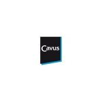 Cavus